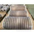 Squirrel cage rotor for large motors